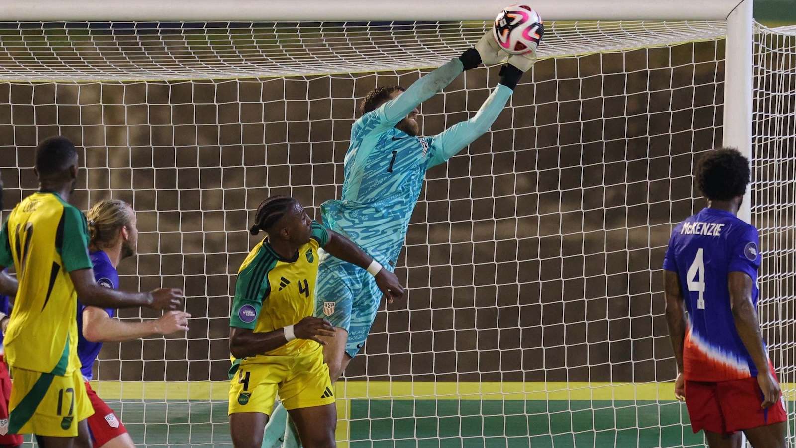 向世界展示 向世界展示